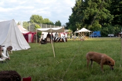 IMG-20150623-WA0003