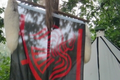 sehusafest_2014_15