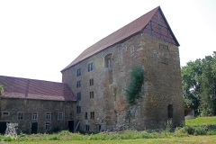 IMG_5205